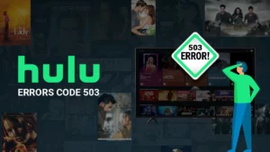 Hulu Error Code 503